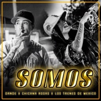Somos - Single - Dande, chicana rosas & Los Trenes De México