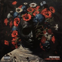 1 John 2:16 (Pride) - Single - Phenomeinal