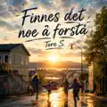 Finnes det noe å forstå