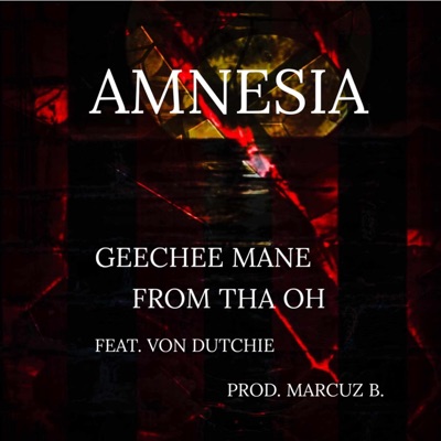 Amnesia (feat. Von Dutchie) - Single