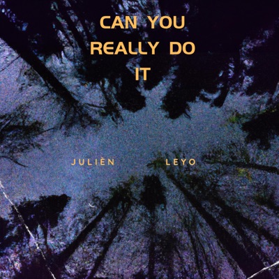 Can You Really Do It (feat. LEYO) - Single