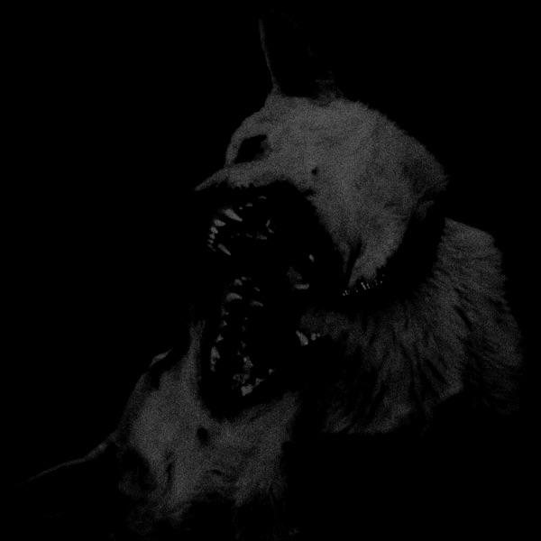 It Gets Worse Before It Gets Better - Single