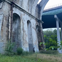 CENTIPEDES? - Single - SARM?