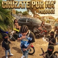 Cruzate Por NA - Single - Arlin Produce
