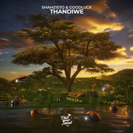 Thandiwe Shamzisto & GoodLuck