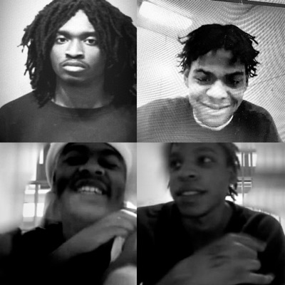 Bl82D IN BL82D OUT - Single