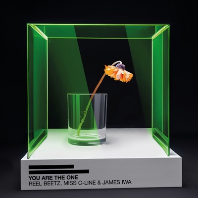 You Are the One - Single