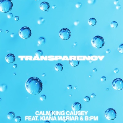 Transparency (feat. Kiana Mariah & B:PM) - Single