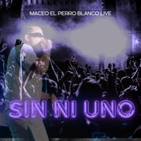 sin ni uno (live) - Single - maceo el perro blanco live