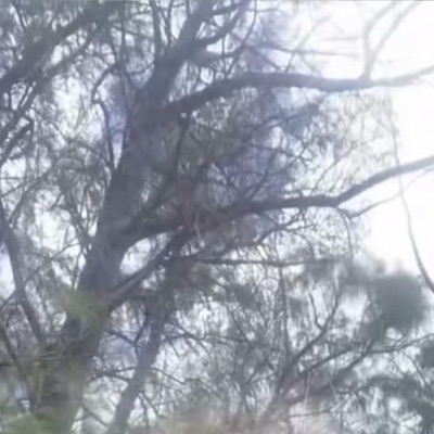 stranger (feat. vhs midnight style) - Single