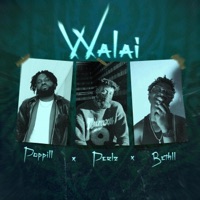 Walai - Single - Poppill, Perlz & Bethll