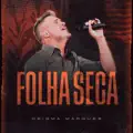Folha Seca