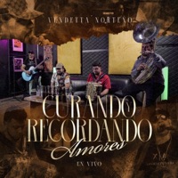 Curando y Recordando Amores - EP - Vendetta Norteño