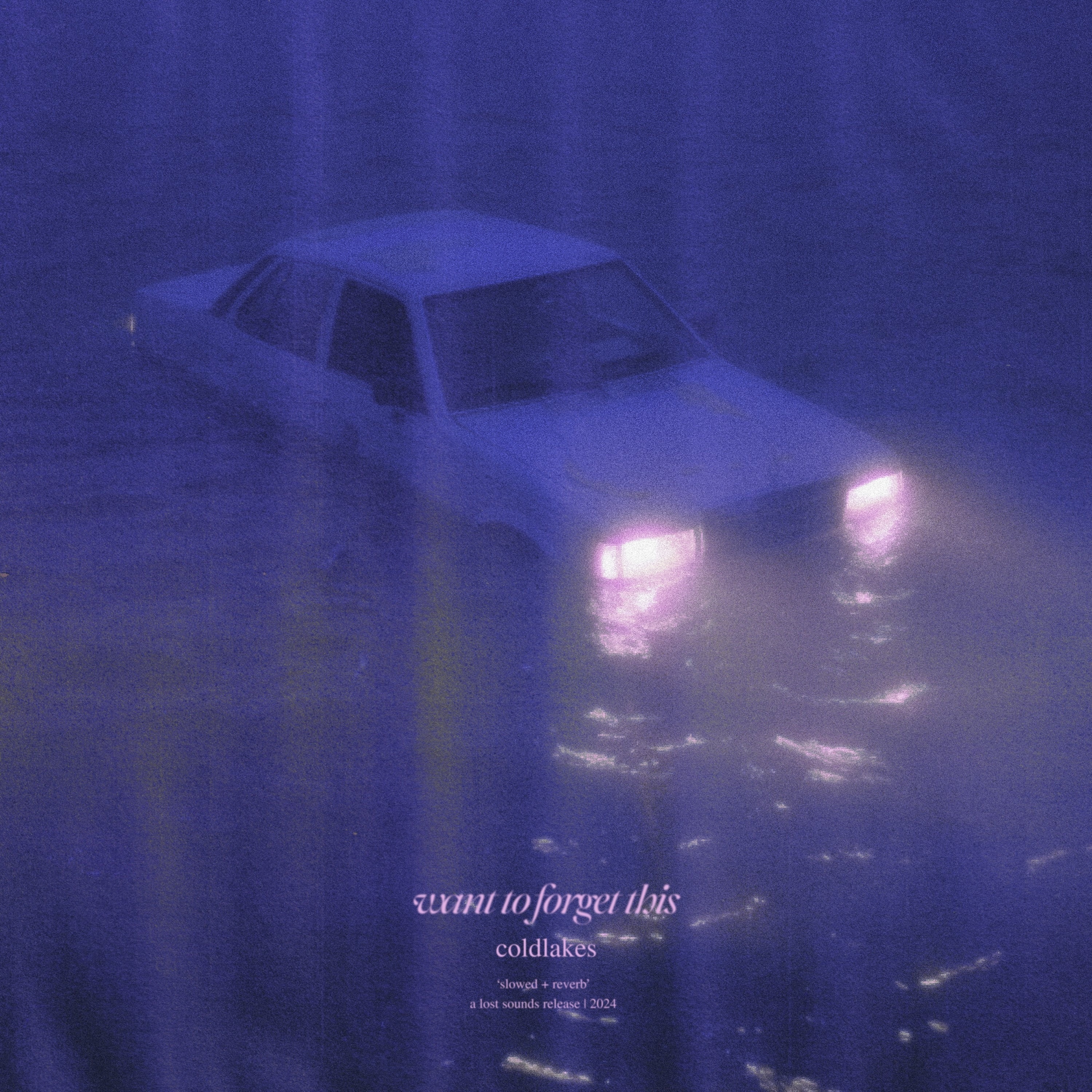 Want To Forget This (Slowed + Reverb) - Single