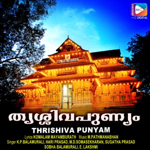 Medapulari Vishupulari