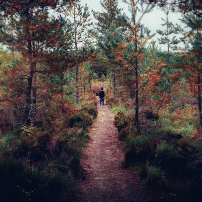 Memory Lane (feat. Christian Distefano) - Single