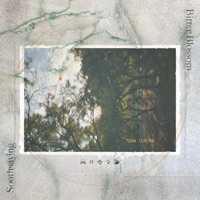 Soothsaying - Single - Bitter Blossom