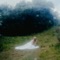Black swan - Wisp lyrics