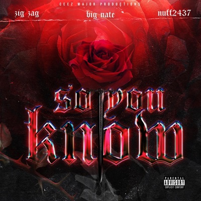 So You Know (feat. Zig Zag, Hard Block & Nuff2437) - Single
