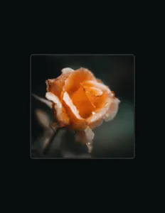 Ascolta Joshua Kyan Aalampour, guarda video musicali, leggi la biografia, vedi le date del tour & altro!