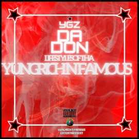 BEEN STACKIN' BEEN GETTIN' IT (feat. Big Vaughn) Ygz Da Don