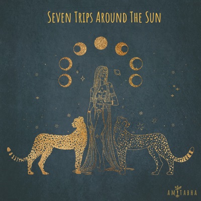 Seven Trips Around the Sun