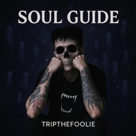 Soul Guide TripTheFoolie