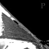 Paragos - EP