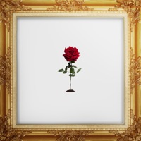 Dalida - Single - Bakry & Badran