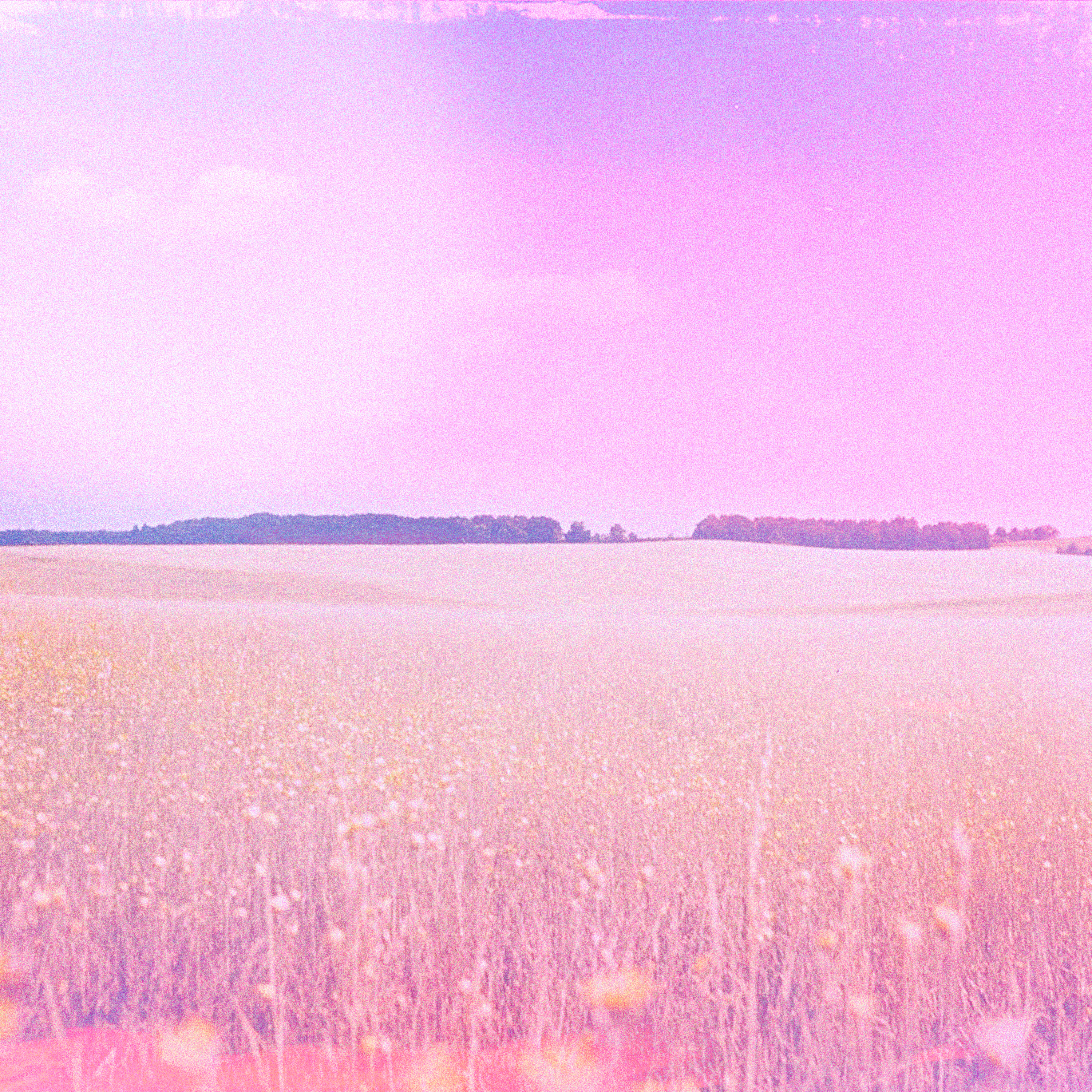 Tú Me Enseñaste - Single