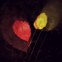 Листья - Single - суперолег