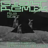 Calvin Harris & Rag'n'Bone Man - Giant