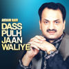 Dass Pulh Jaan Waliye - Akram Rahi