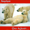 Qaa Agkerit... - Anguigaq