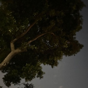 Stars (feat. Silo) - Single