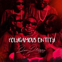 Polygamous Entity - EP - Dan Drizzy