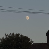 her - Single - HXZRD