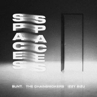 BUNT., The Chainsmokers & Izzy Bizu – Spaces – Single (2025) BUNT., The Chainsmokers & Izzy Bizu – Spaces – Single (2025)