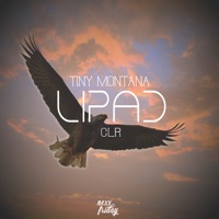 Lipad (feat. CLR) - Single - Tiny Montana