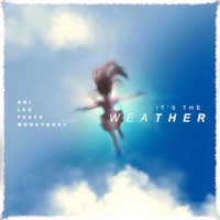 it's the weather (feat. Moneyboss) - Single - Unitsun