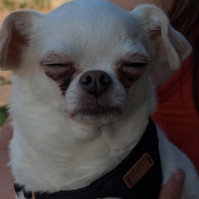 Rabbit hole - Single