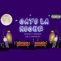 Cayó la noche - Single - JARDON G & JARDON B