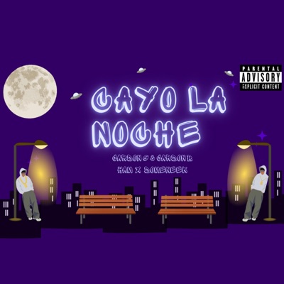 Cayó la noche - Single