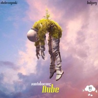 Nube (feat. shelovesyuuki & bulgary) - Single - santobacan5