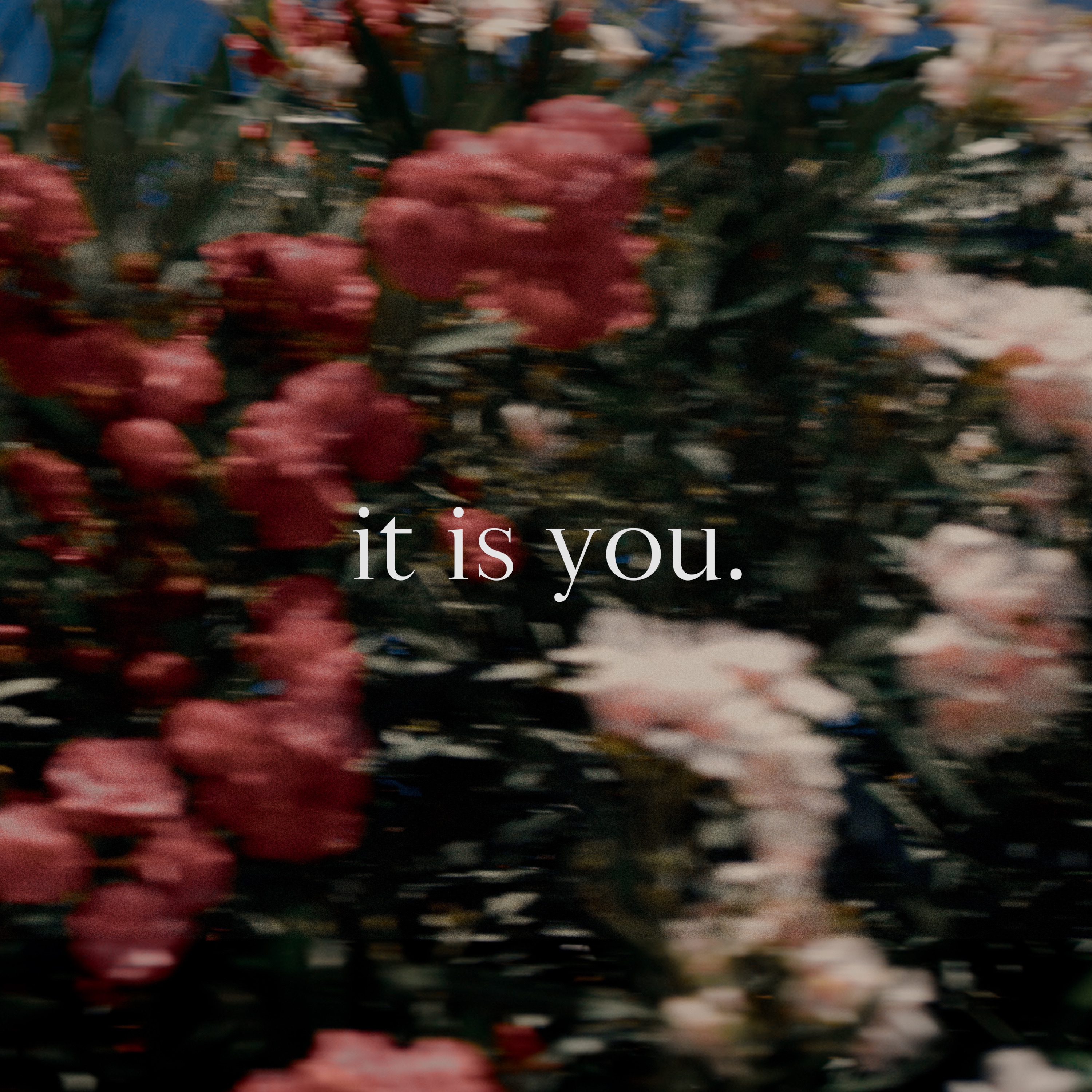 it is you. - Single