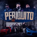 Periquito (feat. Grupo Cuadra & Grupo Exalte) [En Vivo] - Single