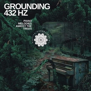 Grounding 432 Hz Piano Melodies Amidst the Trees