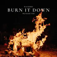 Burn it down