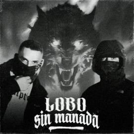 Lobo Sin Manada Isek, Morel Under & AleexBeat