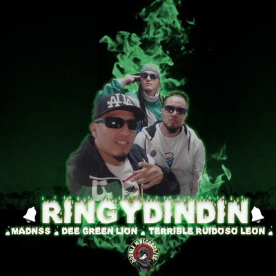 Ringydindin - Single